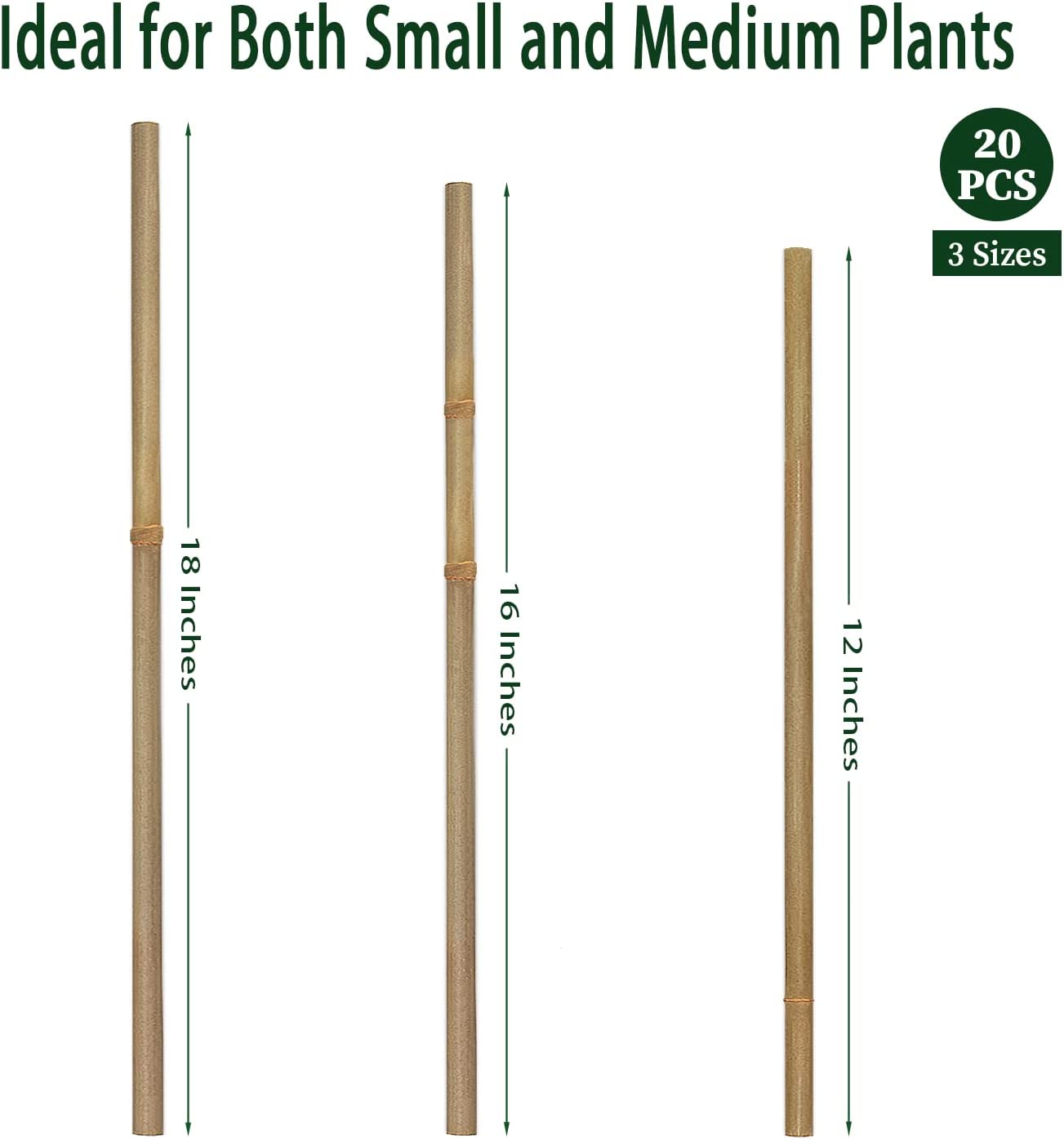 Bamboo Gardening Plant Stakes - Durable and Eco-Friendly for Indoor/Outdoor Gardening