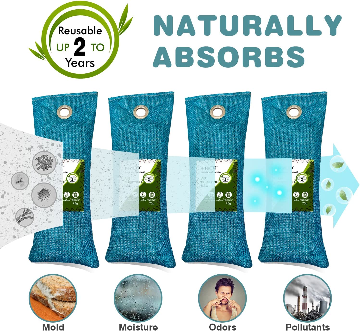 Nature Bamboo Charcoal Air Purifying Bag (6 Bags)